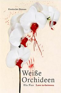 Weiße Orchideen Weiße Orchideen