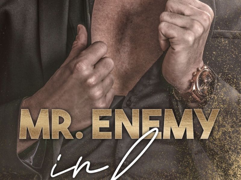 Mr. Enemy in Love Mr. Enemy in Love