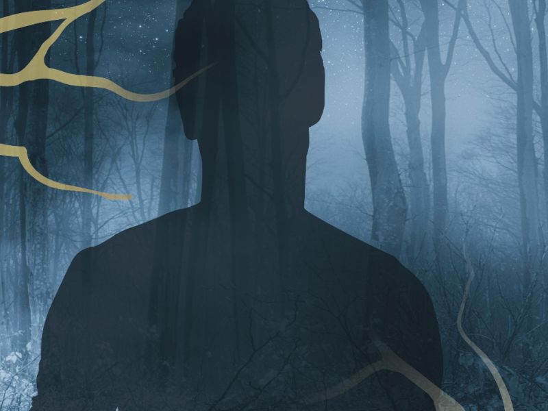 Verzweigungen: Cornell Rohde (Delta Reihe 3) Verzweigungen: Cornell Rohde (Delta Reihe 3)