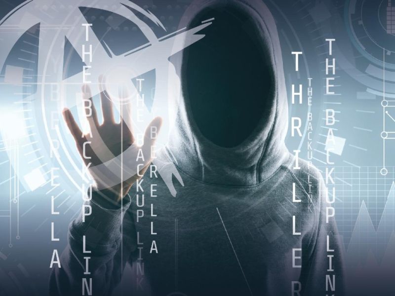 The Backup Link: Cyberella (Spinnen Reihe 2) The Backup Link: Cyberella (Spinnen Reihe 2)