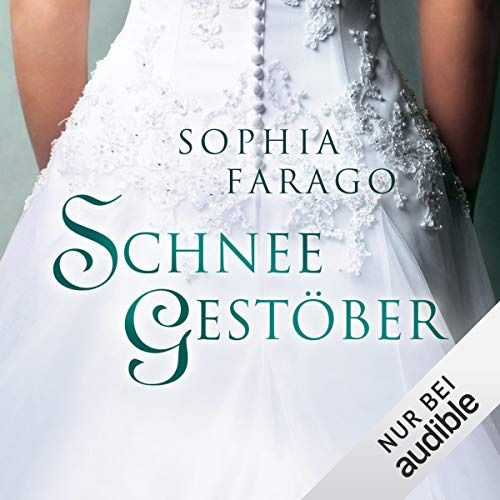 Schneegestöber Schneegestöber