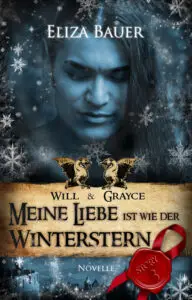 Meine Liebe ist wie der Winterstern (Will & Grayce 3 – Gay BDSM Romantasy)