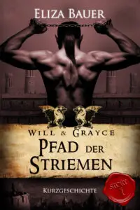 Pfad der Striemen (Will & Grayce 1 – Gay BDSM Romantasy)