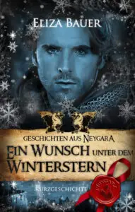 Ein Wunsch unter dem Winterstern (Gay Romantasy)